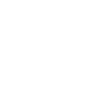 AIA-CEU-Logo-white